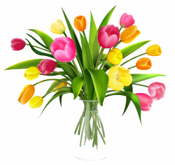 Vase with Tulips PNG Clipart | Gallery Yopriceville - High-Quality ...