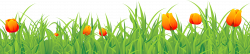 Grass Ground with Tulips PNG Clipart | Gallery Yopriceville - High ...