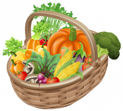 Basket with Vegetables PNG Picture Clipart | Gallery Yopriceville ...