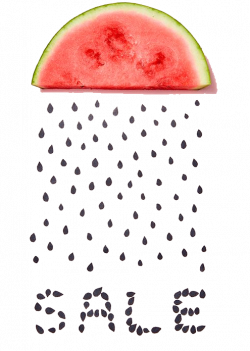 Sales Web banner Animation Clip art - Watermelon seeds Sale 495*695 ...