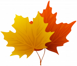 Fall Maple Leaf Clip Art | Maple | Pinterest | Clip art and Leaves