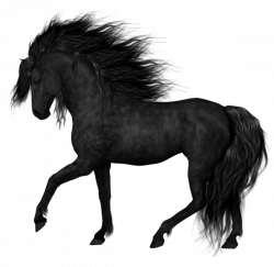 Black Horse PNG Clipart Picture | PNG | Pinterest | Black horses ...