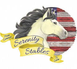 Volunteer at Serenity Stables From Combat to Calm