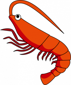 Shrimp Clipart Free | Free download best Shrimp Clipart Free on ...