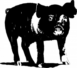 Black And White Pig Clip Art at Clker.com - vector clip art online ...