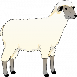 Wooly Sheep Clip Art at Clker.com - vector clip art online, royalty ...