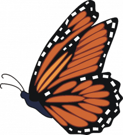 Monarch butterfly monarch 4 clipartbarn – Gclipart.com