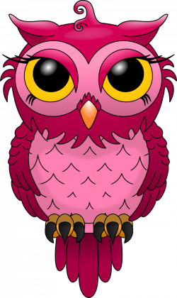chouette les chouettes | AppleCakes | Pinterest | Owl, Owl rocks and ...