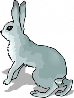Free Rabbit Clipart
