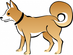 Tail clipart pet - Pencil and in color tail clipart pet