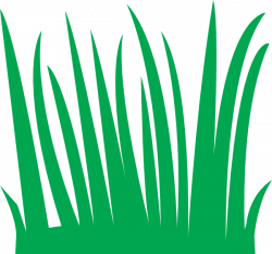 Displaying clipart of grass | ClipartMonk - Free Clip Art Images