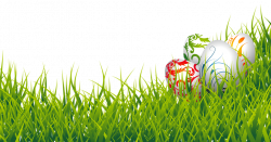 Easter Eggs And Grass PNG Clipart Picture - peoplepng.com