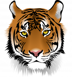 PNG Tiger Face Transparent Tiger Face.PNG Images. | PlusPNG