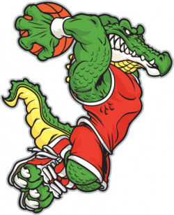Free Gator Basketball Cliparts, Download Free Clip Art, Free ...