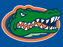 Free Gator Basketball Cliparts, Download Free Clip Art, Free ...