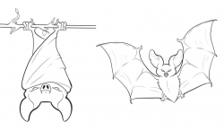 Bat Hanging Upside Down Coloring Page | Free graphics in ...