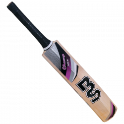 BS Sports Cricket Bat Champion 405 Champion 405
