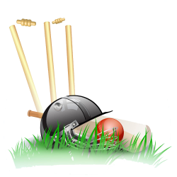 Papua New Guinea national cricket team Stump Wicket - Cartoon ...