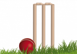Cricket PNG Background Image | PNG Mart