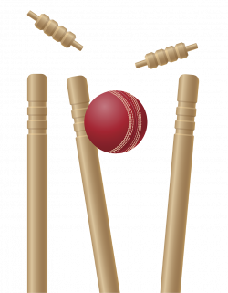 Cricket stumps Logos