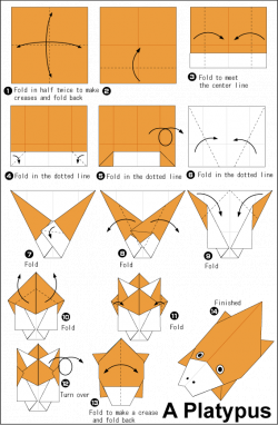 Origami・platypus | Origami and such | Pinterest | Platypus, Origami ...
