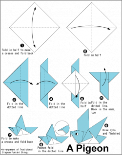 Origami Pigeon | Origami | Pinterest | Origami, Bird and Easy