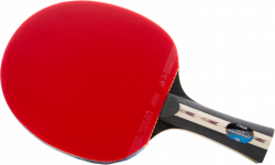 Ping Pong PNG images free download, ping pong ball PNG