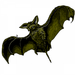 Realistic clipart bat - Pencil and in color realistic clipart bat