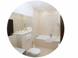 Our Master Toilet Shower and Shower Plumbing Services
