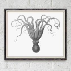 Octopus printable, bathroom wall art, nautical print, octopus clipart - big  size, personalized poster
