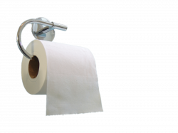 Toilet Paper Roll Empty transparent PNG - StickPNG