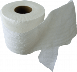 Toilet Roll PNG HD Transparent Toilet Roll HD.PNG Images. | PlusPNG