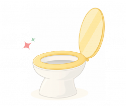 Did you know that toilet bacteria can reach up to 10 inches in your ...