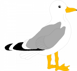 seagull craft template - Google Search | Surf Shack VBS | Pinterest ...