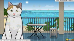 A Serious Looking Cat and A Hotel Balcony Overlooking The Beach Background