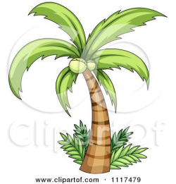Vector Clipart Coconut Palm Tree And Ferms - Royalty Free ...