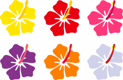 Hawaii Flowers Cartoon (41+) Desktop Backgrounds