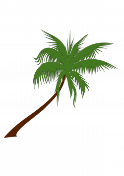 Clipart - palm tree