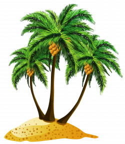 Transparent Beach Palms Decor PNG Clipart | Gallery Yopriceville ...