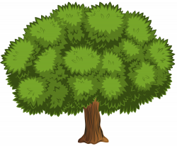 Large Tree PNG Clip Art Image | Gallery Yopriceville - High-Quality ...