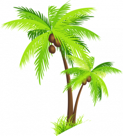 Palm Tree with Coconuts PNG Clipart Picture | Trees , Tree Houses ...