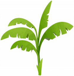 Green Plant Transparent PNG Clip Art Image | Gallery Yopriceville ...