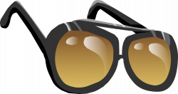 Aviator Sunglasses | Club Penguin Rewritten Wiki | FANDOM powered by ...