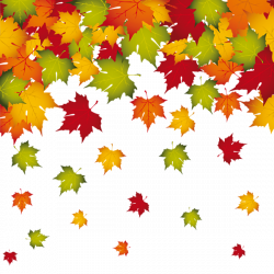 Transparent Fall Leaves Decoration PNG Image | Planner Happiness ...