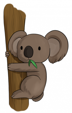 28+ Collection of Koala In A Tree Clipart | High quality, free ...
