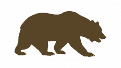 Brown Bear Clipart California Bear#3103150