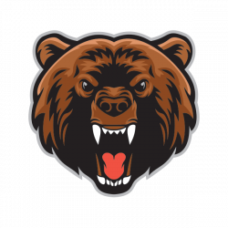 Printed vinyl Mad Angry Bear Head Attack | Stickers Factory