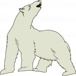 Clipart - Polar bear 3