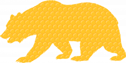 Clipart - Honeycomb Bear