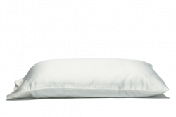 Flat White Pillow transparent PNG - StickPNG